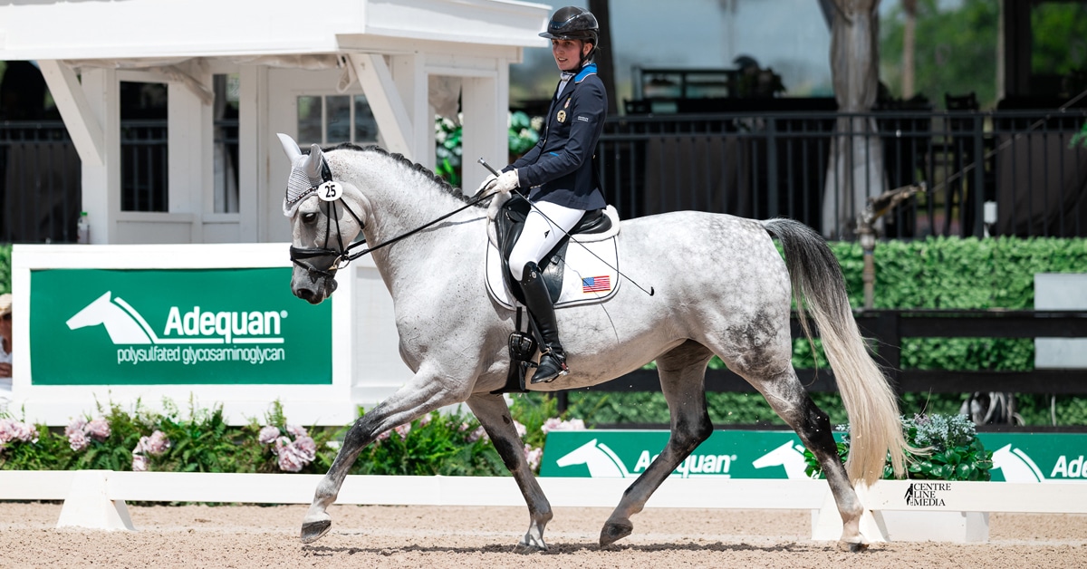 A woman riding a grey horse in a dressage arena.