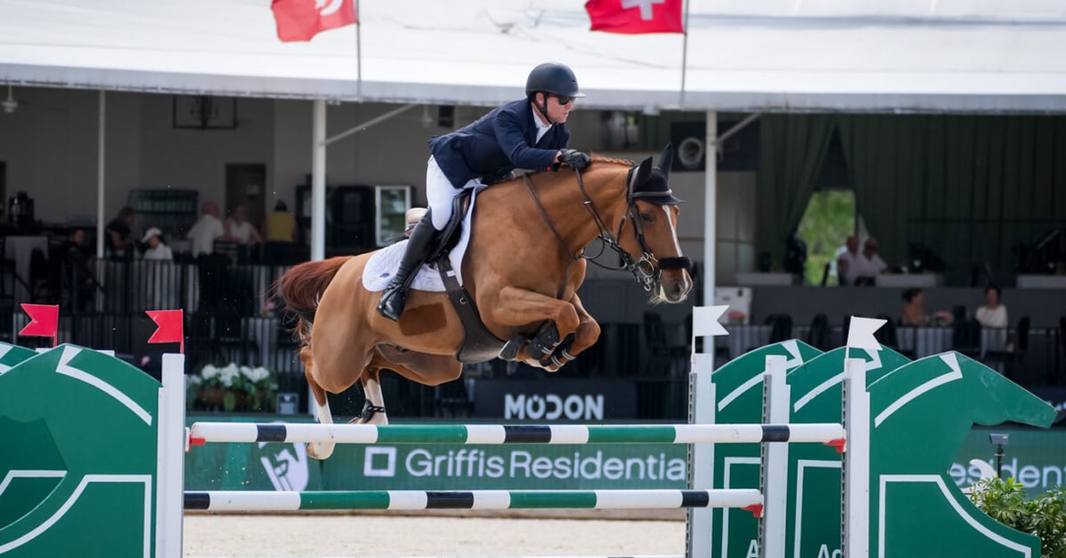 A man riding a bay horse over a fence at WEF.