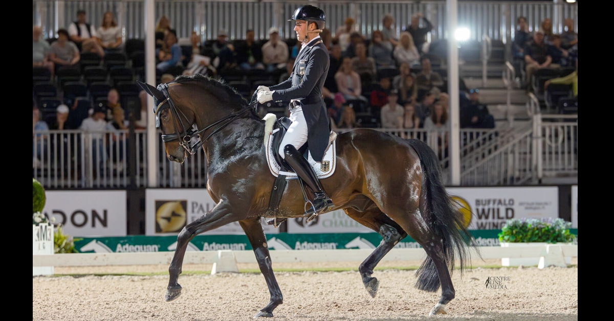 A man riding a dark bay horse during a night dressage class.