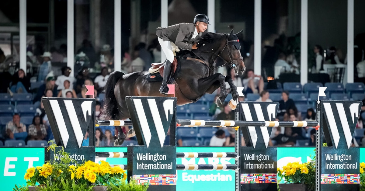 A man jumping a dark bay horse over a fence at WEF.