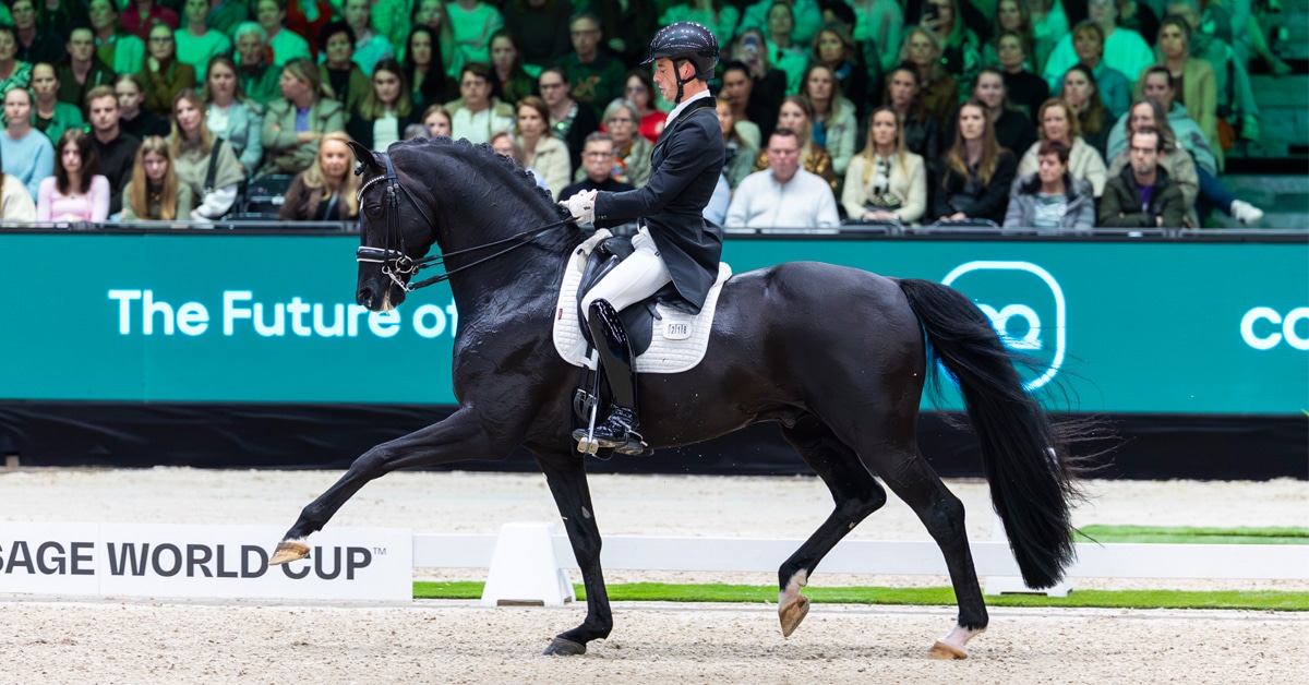 A man riding a black dressage horse in extended trot during a test.