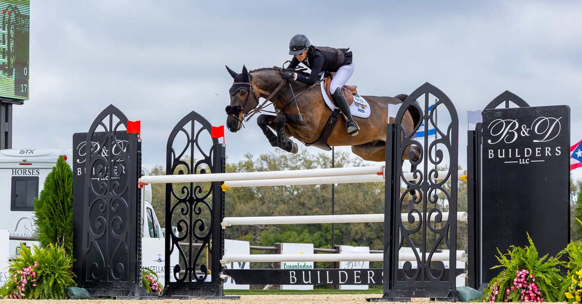 A woman jumping a bay horse over a fence in Florida.