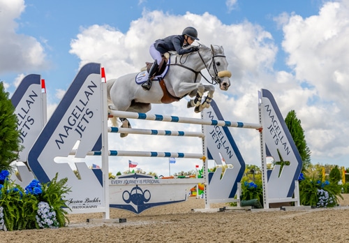 A woman jumping a grey horse over a fence in Florida.