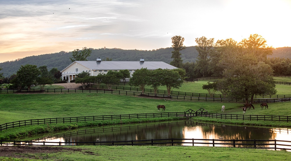 A large horse farm at sunrise.