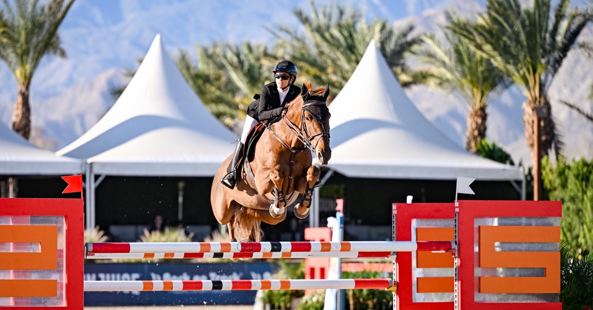 A woman jumping a fence on a chestnut mare at DIHP.