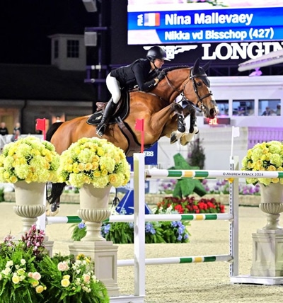 A woman jumping a bay mare over a fence in Ocala.