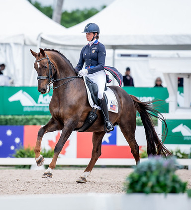 A woman riding a bay horse in a dressage ring in Florida.