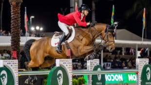 A man in a red jacket jumping a bay horse over a fence in Florida.