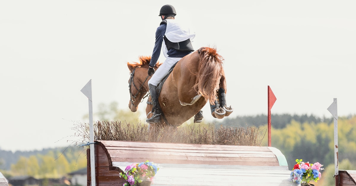 An event horse jumping a cross-country fence.