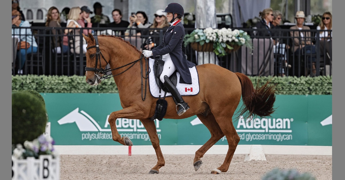 A woman riding a chestnut horse in a dressage arena.