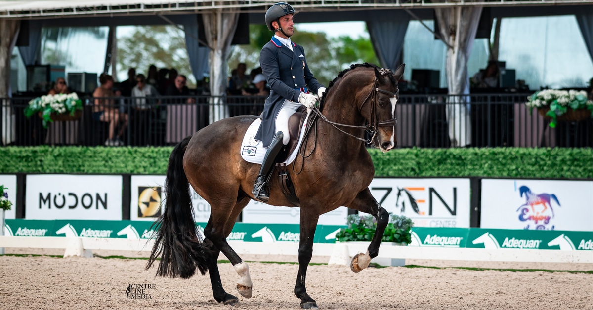 A man riding a bay horse in a dressage arena.