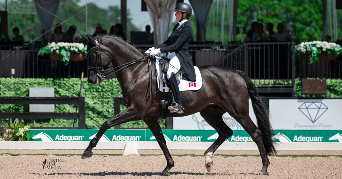 A woman riding a dark bay dressage horse in an arena.
