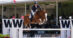 A man jumping a chestnut horse over a fence at WEF.