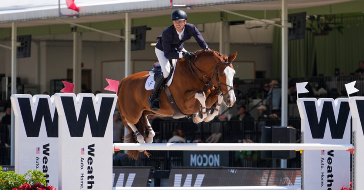 A man jumping a chestnut horse over a fence at WEF.