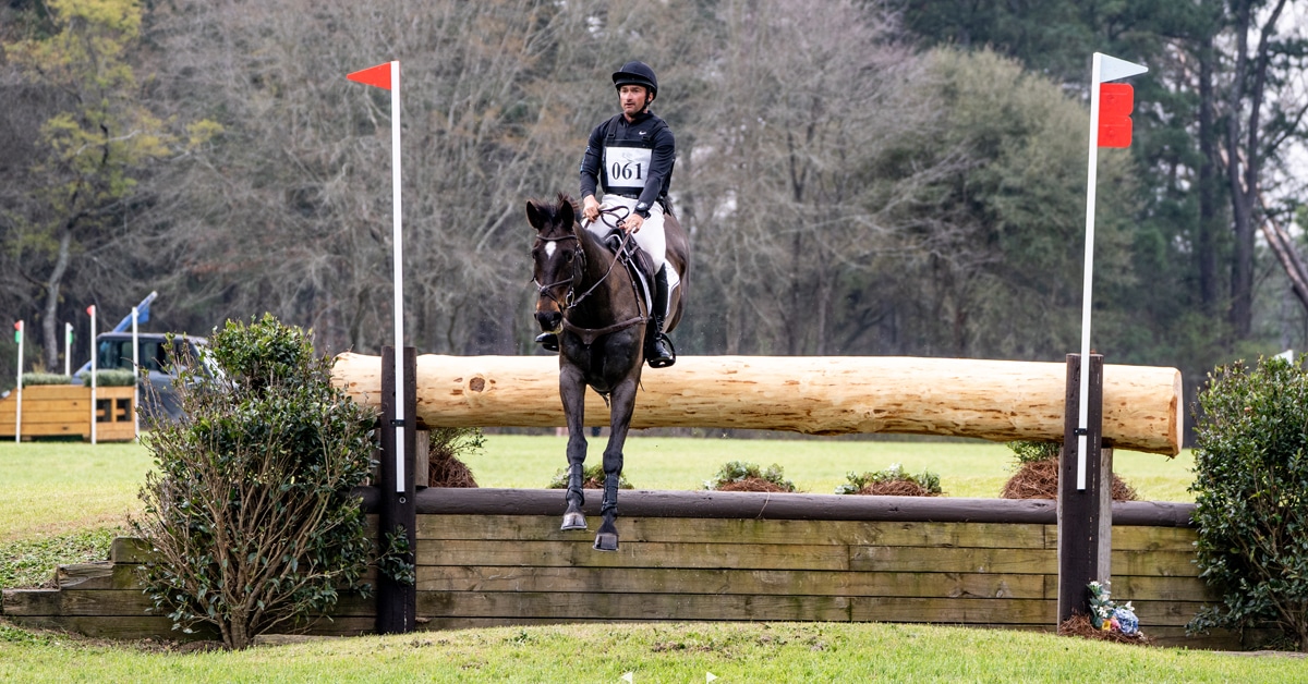 A man on a dark bay horse jumping over a ditch-and-log jump on a cross-country course.