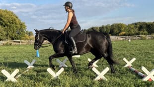A woman riding a black horse over cavaletti.