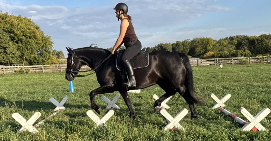 A woman riding a black horse over cavaletti.