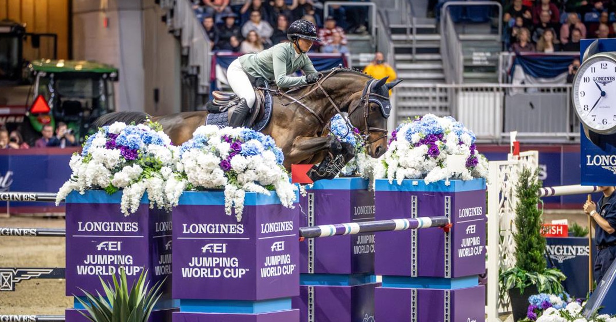 A woman jumping a bay hprse over a World Cup fence in Toronto.