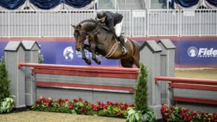 A man jumping a bay horse over a derby fence at The Royal.