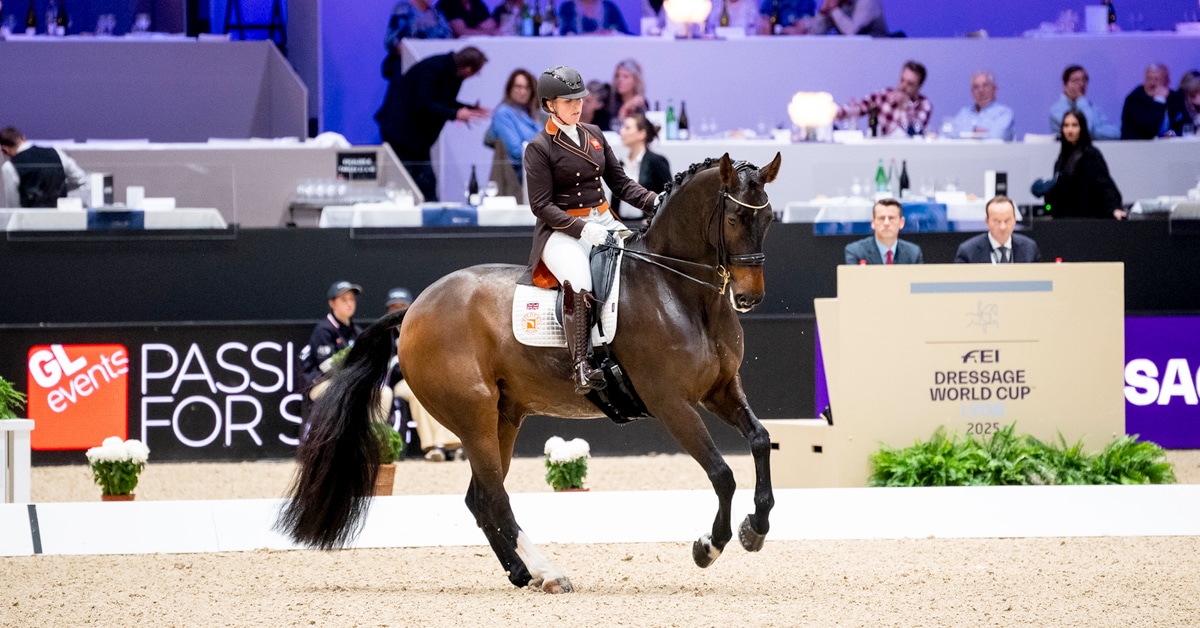 A woman performing a dressage test on a bay horse.