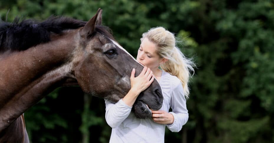 A woman kissing an old bay horse.