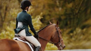 A woman riding a bay horse in an english saddle.