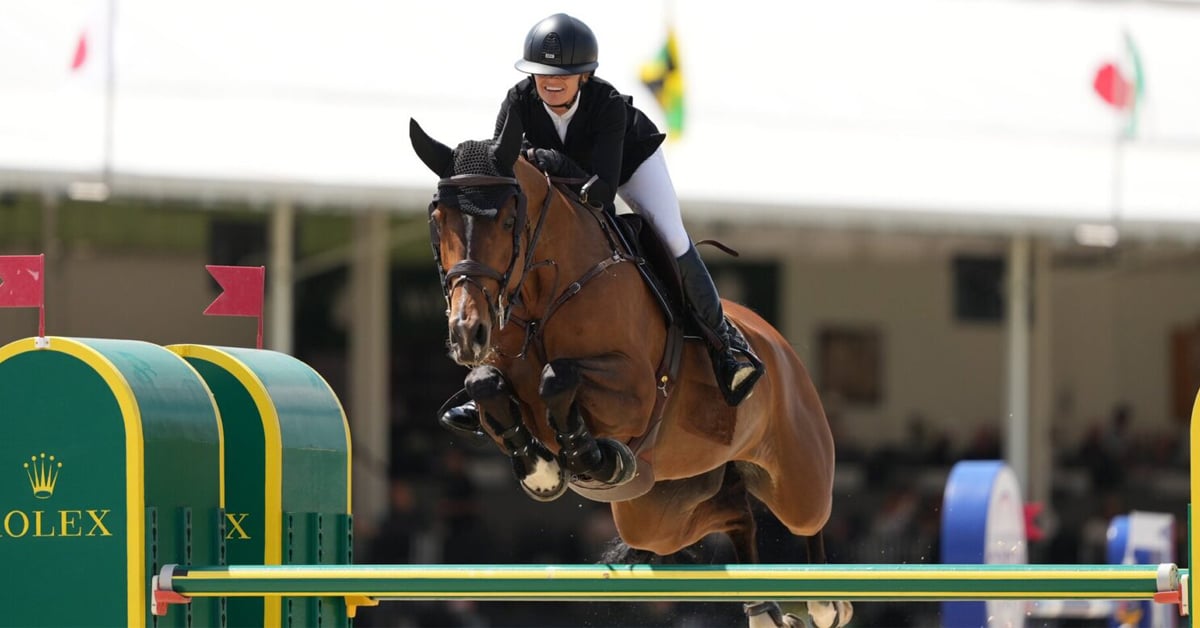 A woman jumping a fence at WEF on a bay horse.