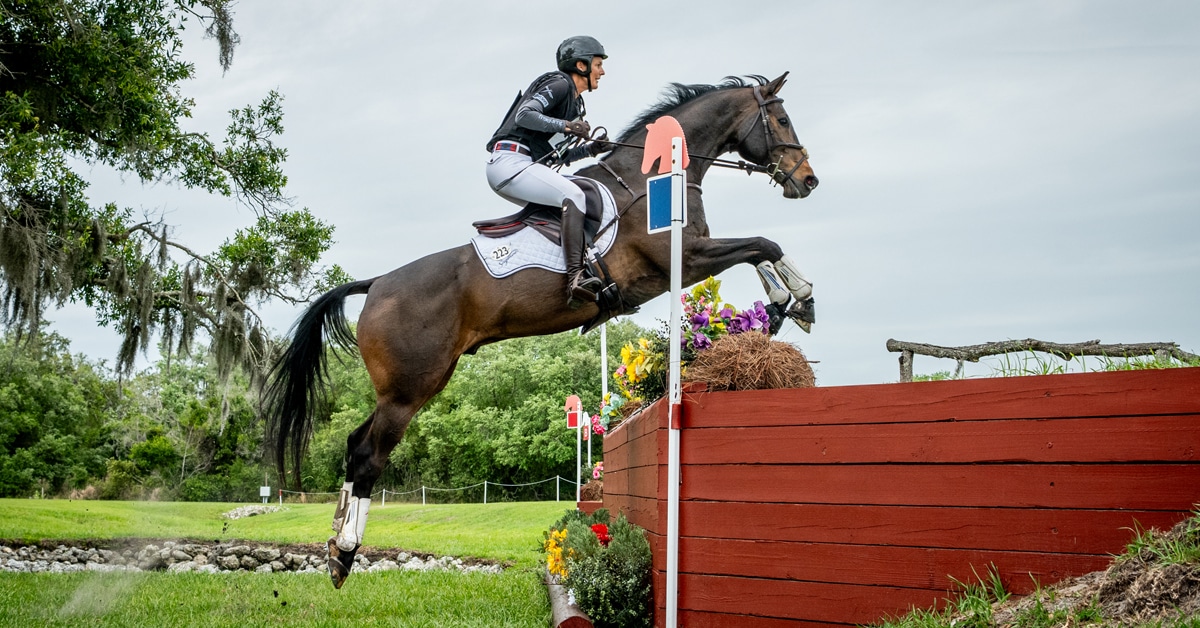 A woman jumping a bay horse onto a bank at an event in Florida.