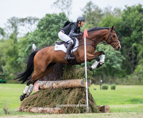 A woman jumping a bay horse over a cross-country fence.