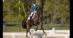 A woman riding a bay dressage horse at the canter during a test.