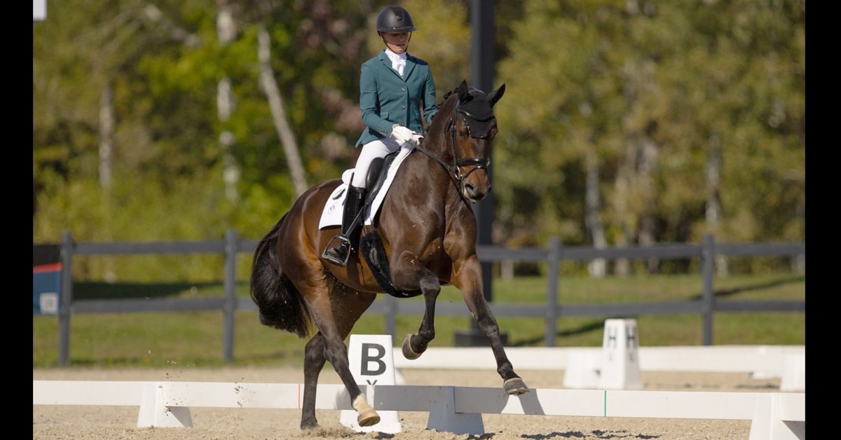 A woman riding a bay dressage horse at the canter during a test.