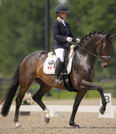 A woman riding a bay dressage horse during a test.