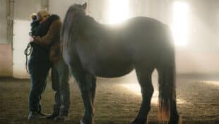 A couple hugging in an arena beside ahorse.