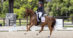 A woman riding a chestnut dressage horse during a test in Florida.
