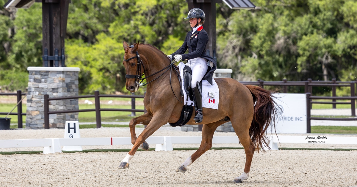 A woman riding a chestnut dressage horse during a test in Florida.