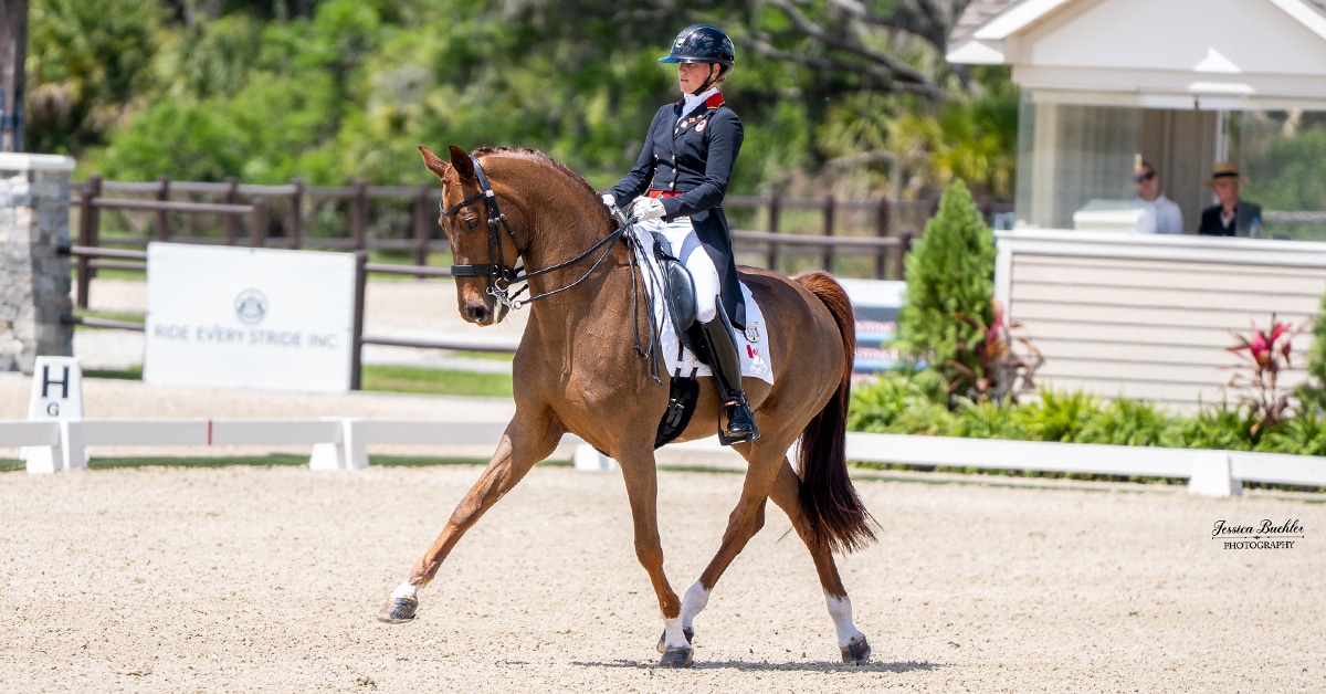 A woman performing a dressage test in an arena aboard a chestnut horse.