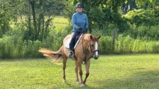A woman riding a sorrel mare.