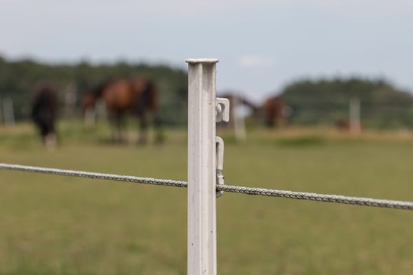 An electric fence with horses grazing in the background.