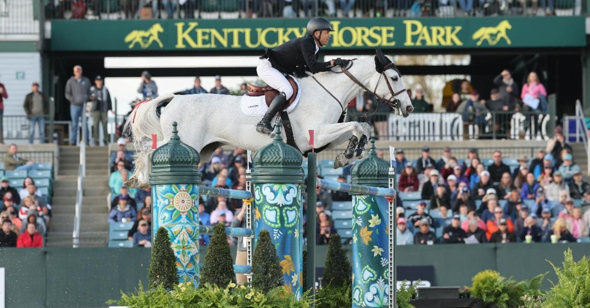 A man jumping a grey mare over a fence in Kentucky.