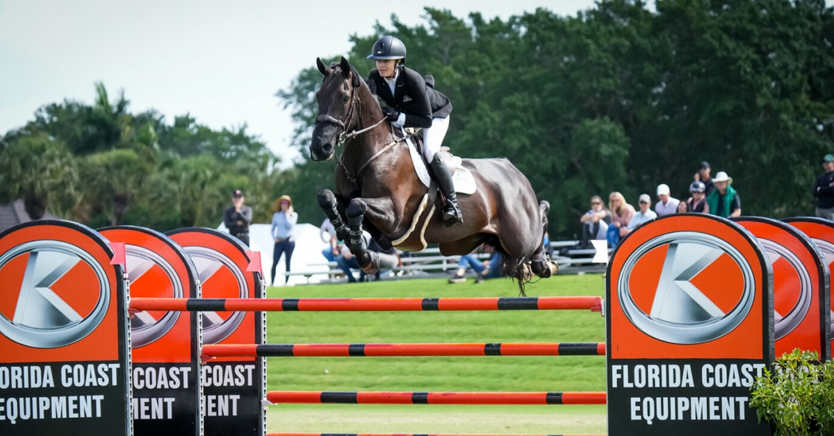 A woman jumping a dark bay horse over a fence in Florida.