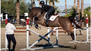 A woman schooling a bay horse over a crossrail.