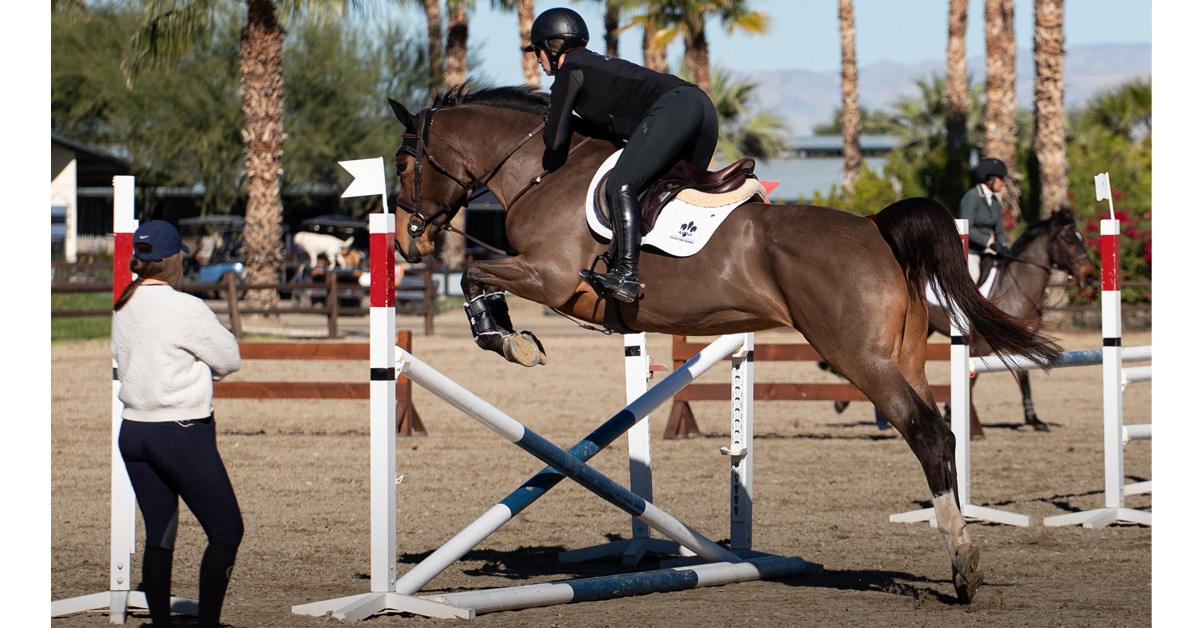 A woman schooling a bay horse over a crossrail.
