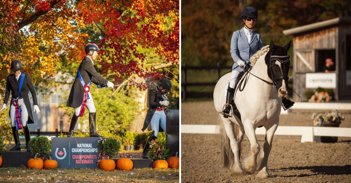 Three dressage riders celebrating on a podium; a woman riding a paint horse.