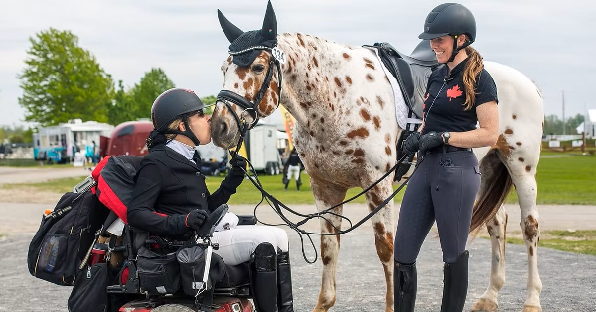 A woman in a wheelchair kissing a spotted horse.