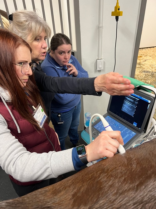 A group of students looking at a laptop screen.