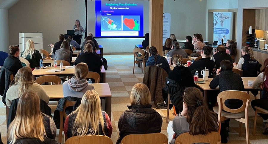 A classroom during a lecture.