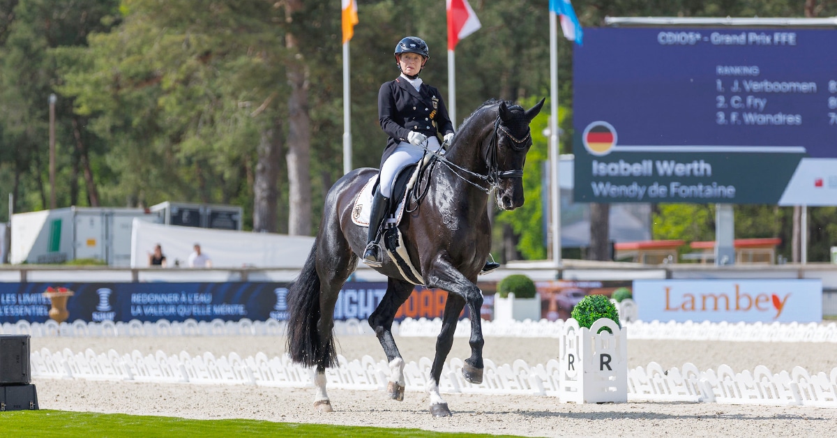 A woman riding a black dressage horse at a show in France.