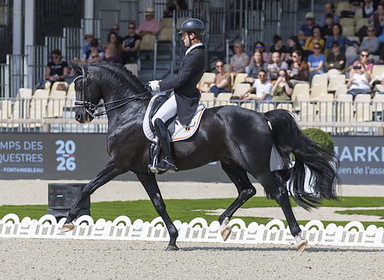 A man riding a black dressage horse in an arena in France.
