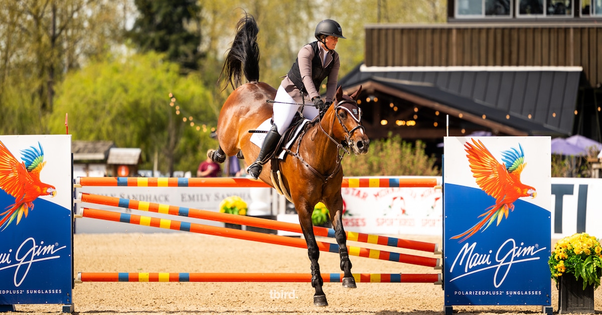 A woman jumping a bay horse over a fence at tbird.