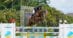 A man jumping a chestnut horse over a fence in Florida.